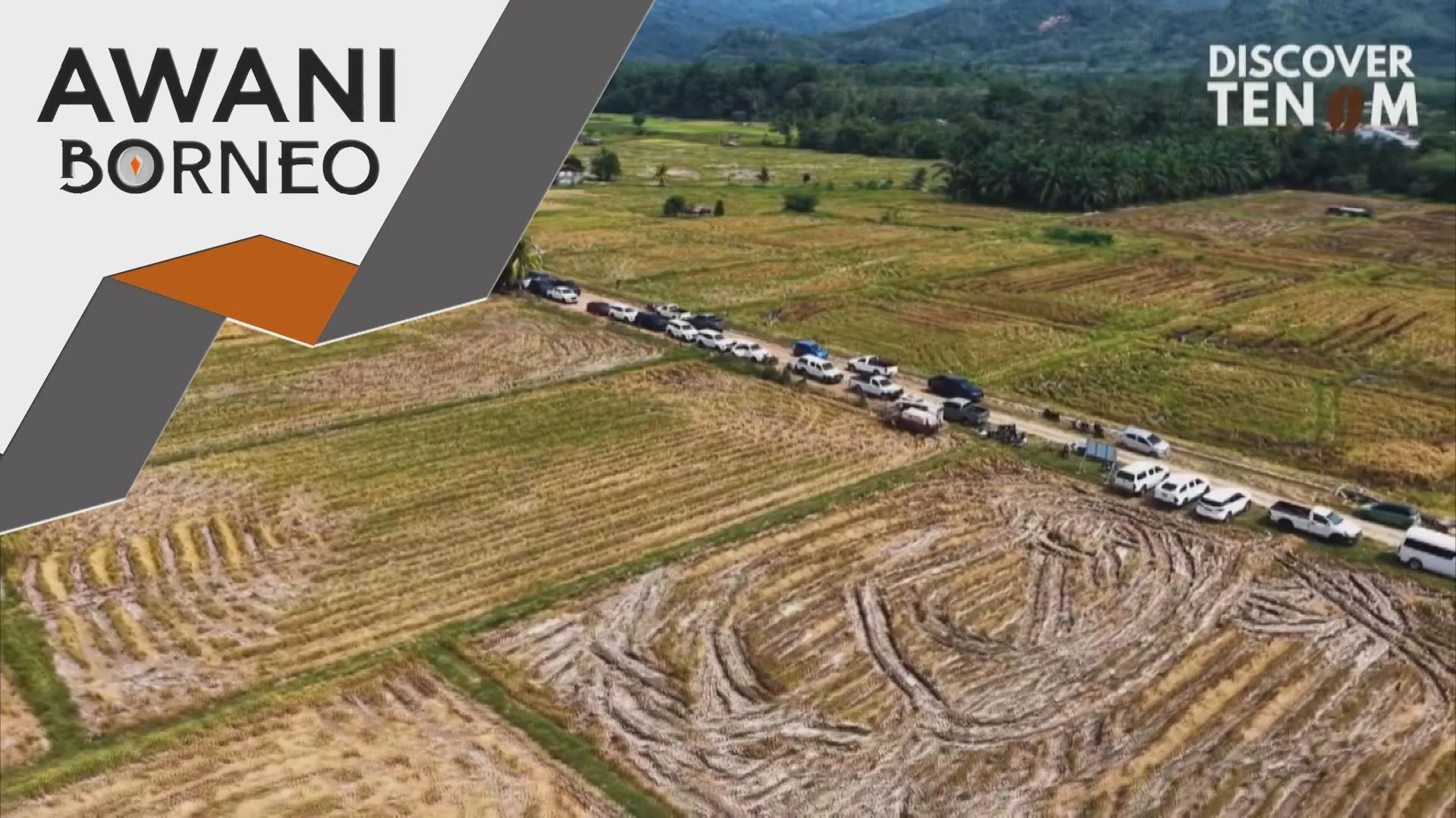 Pengeluaran Varieti Padi TR8 berpotensi hasilkan 10 tan sehektar