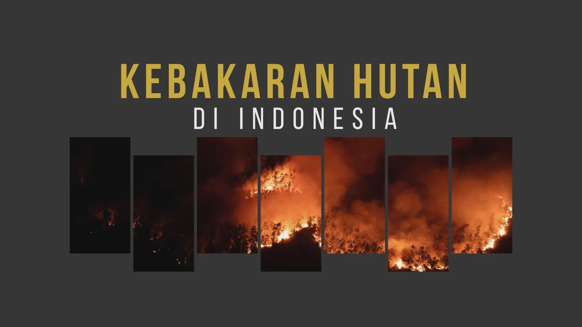 [INFOGRAFIK] Kebakaran Hutan Di Indonesia
