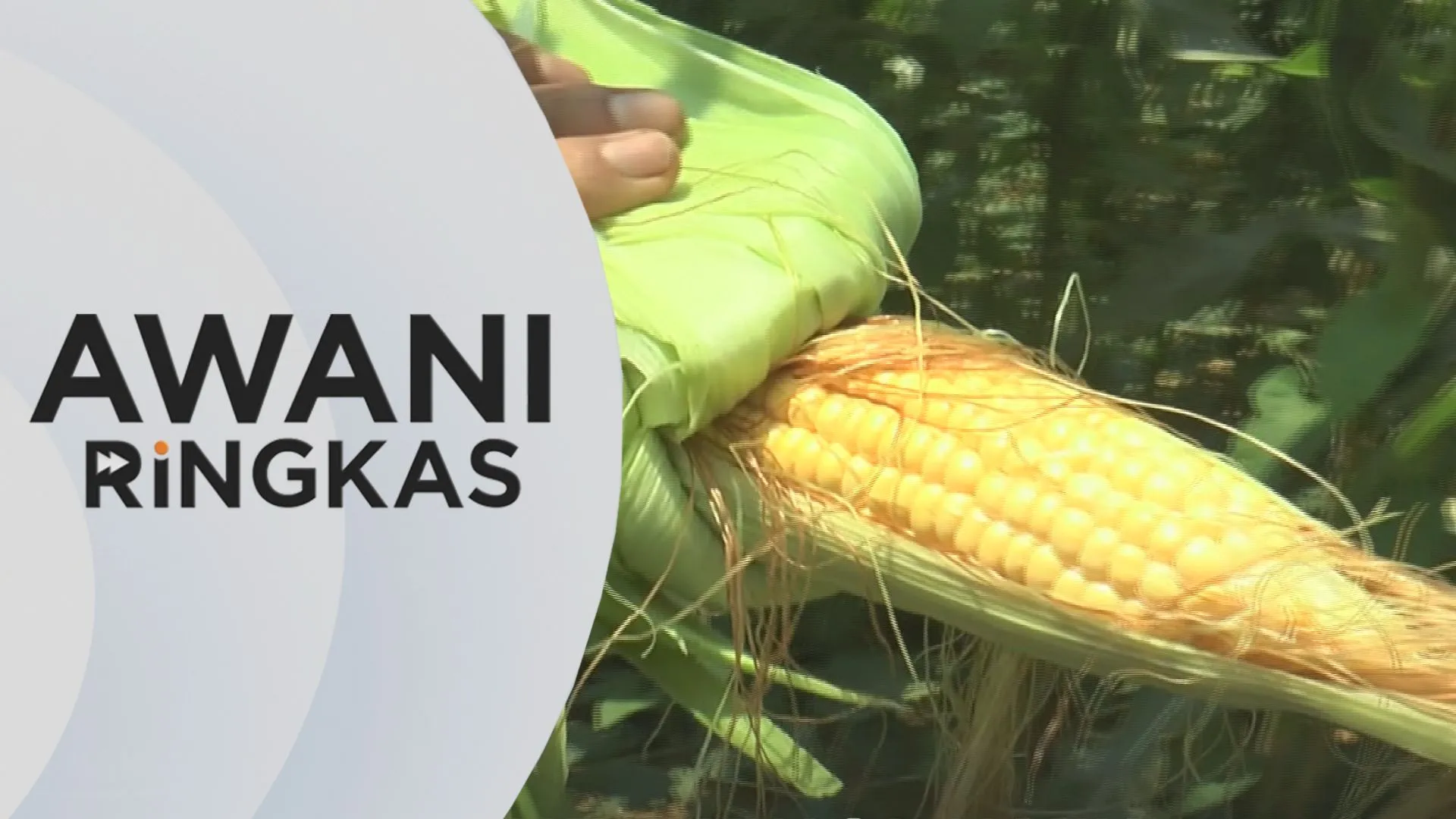 AWANI Ringkas: FAMA tubuh jawatankuasa jamin stok bekalan makanan negara