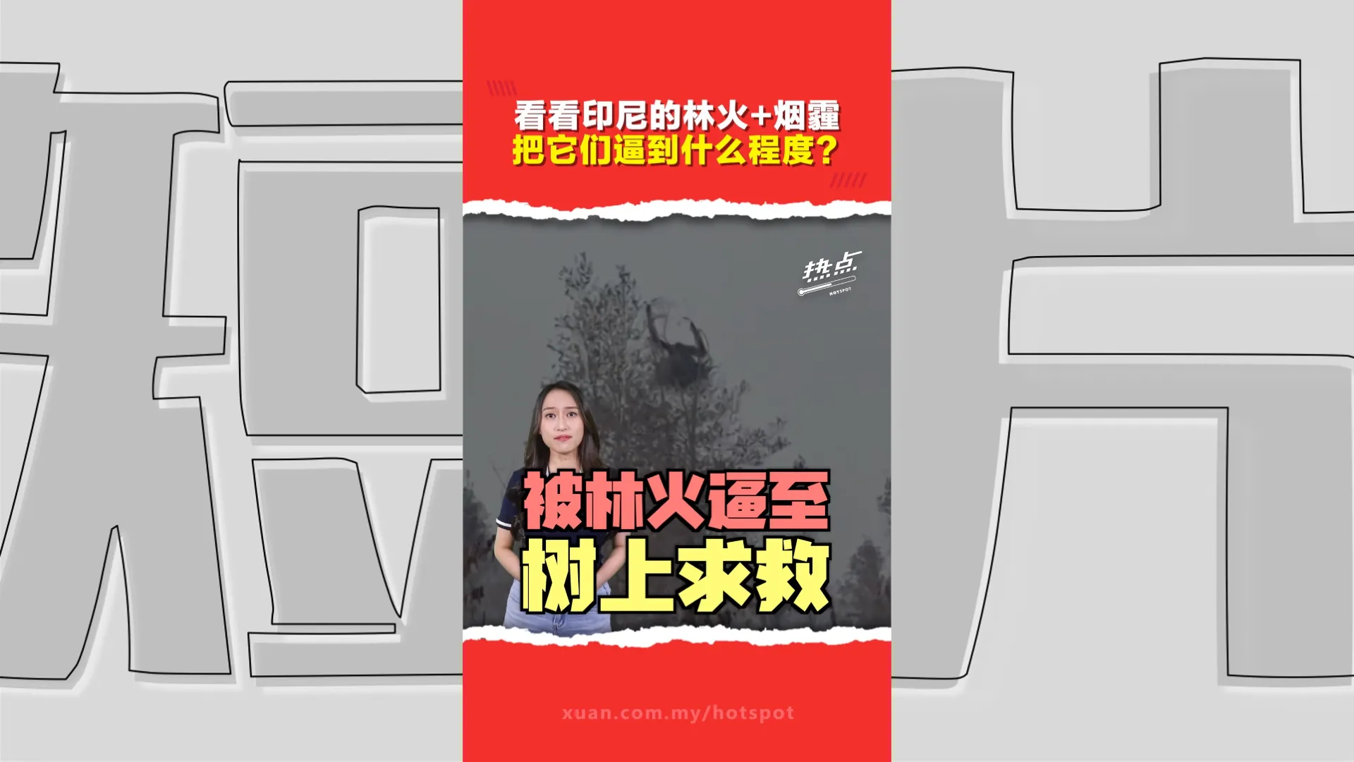印尼林火烧出生态浩劫！人猿Sampurna吸浓烟惨死 救援组织悲痛：所有动物无处可逃