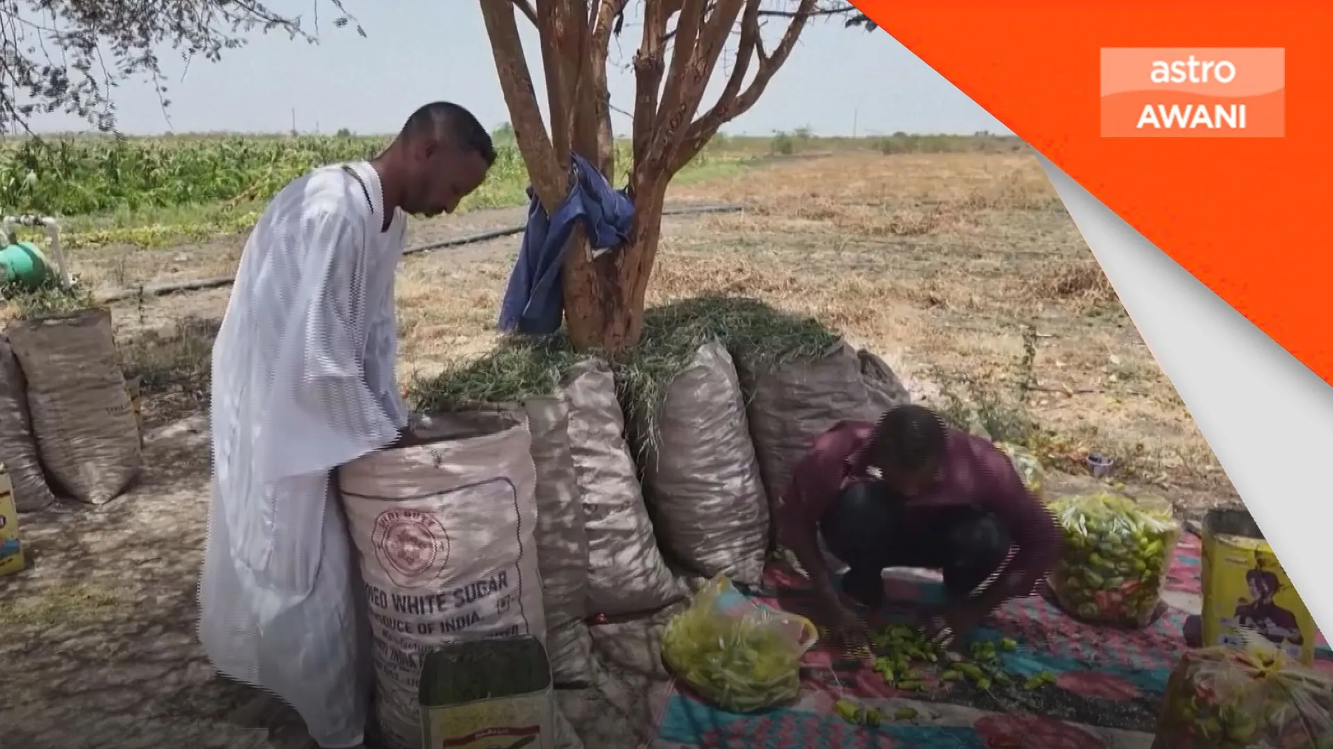 WFP bimbang bantuan sudan terpaksa dikurangkan, 20 juta berdepan kelaparan