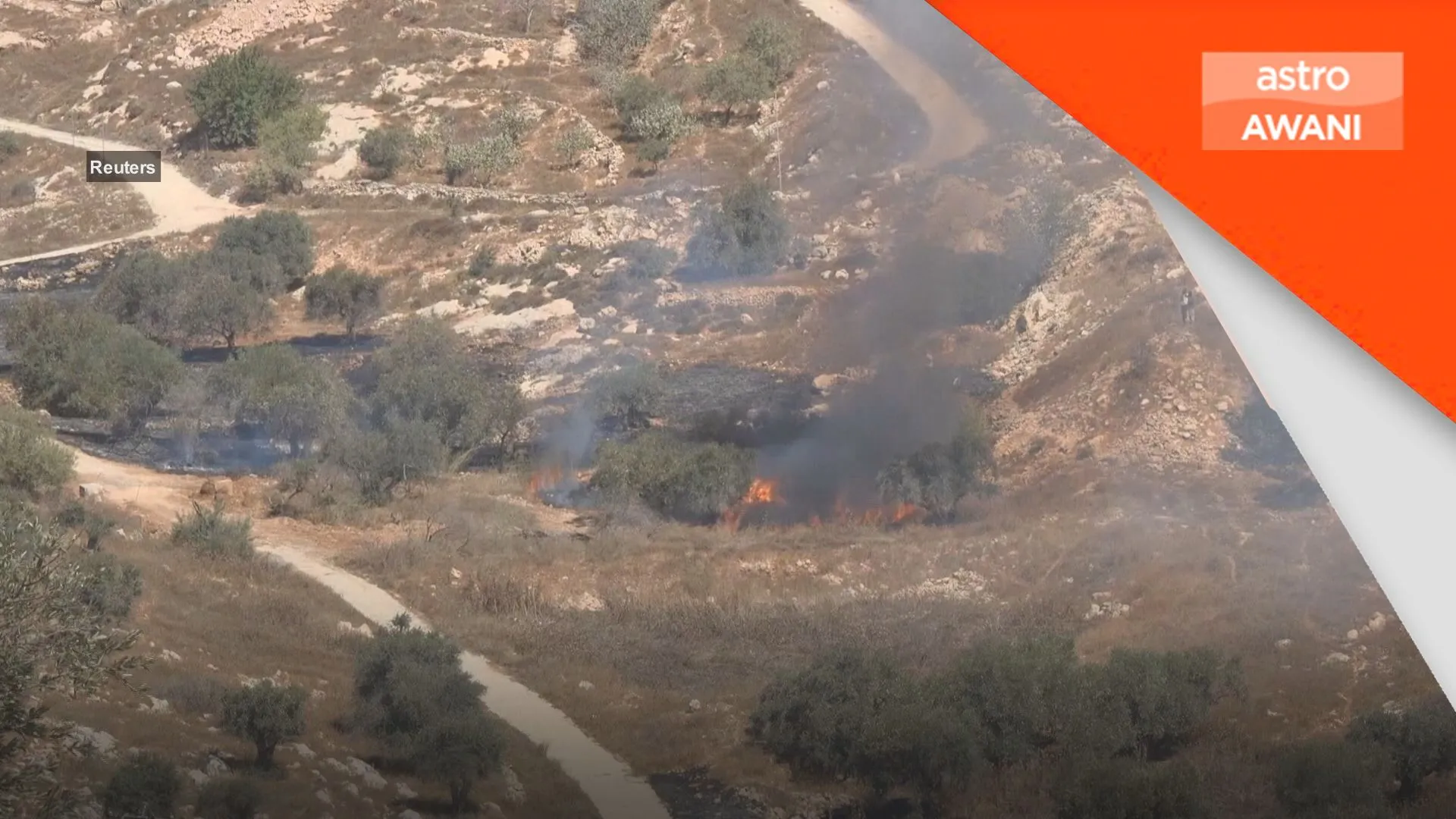 Peneroka Israel bakar kebun zaitun Palestin