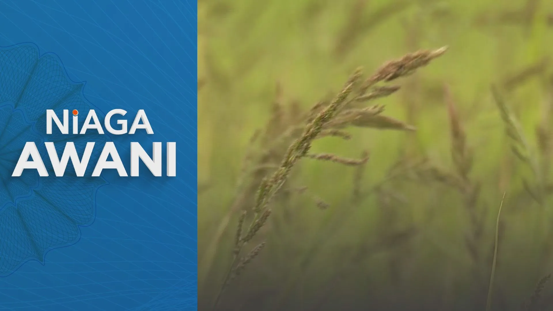 Belanjawan 2027: Fokus perkukuh keterjaminan makanan sokong agromakanan – MBSB IB