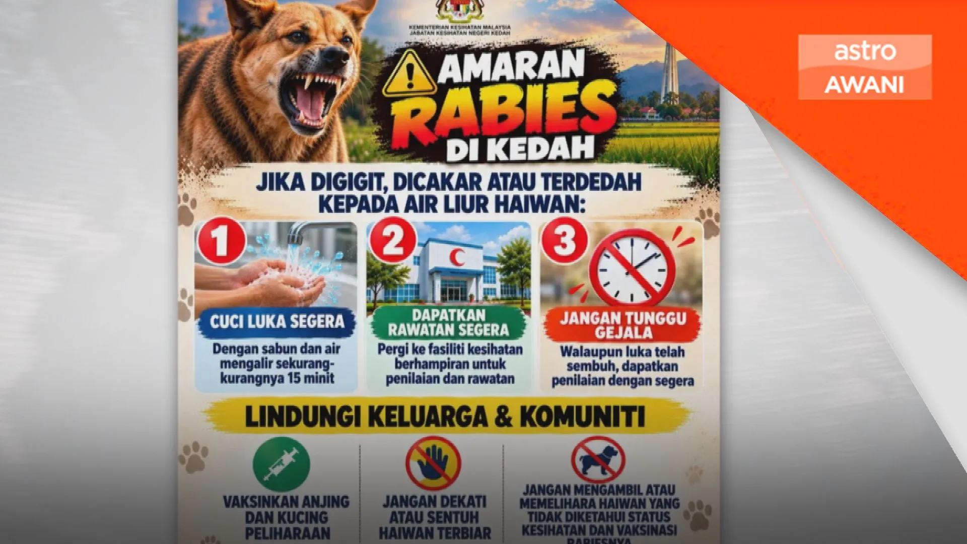 JPVK ambil sampel 18 anjing liar