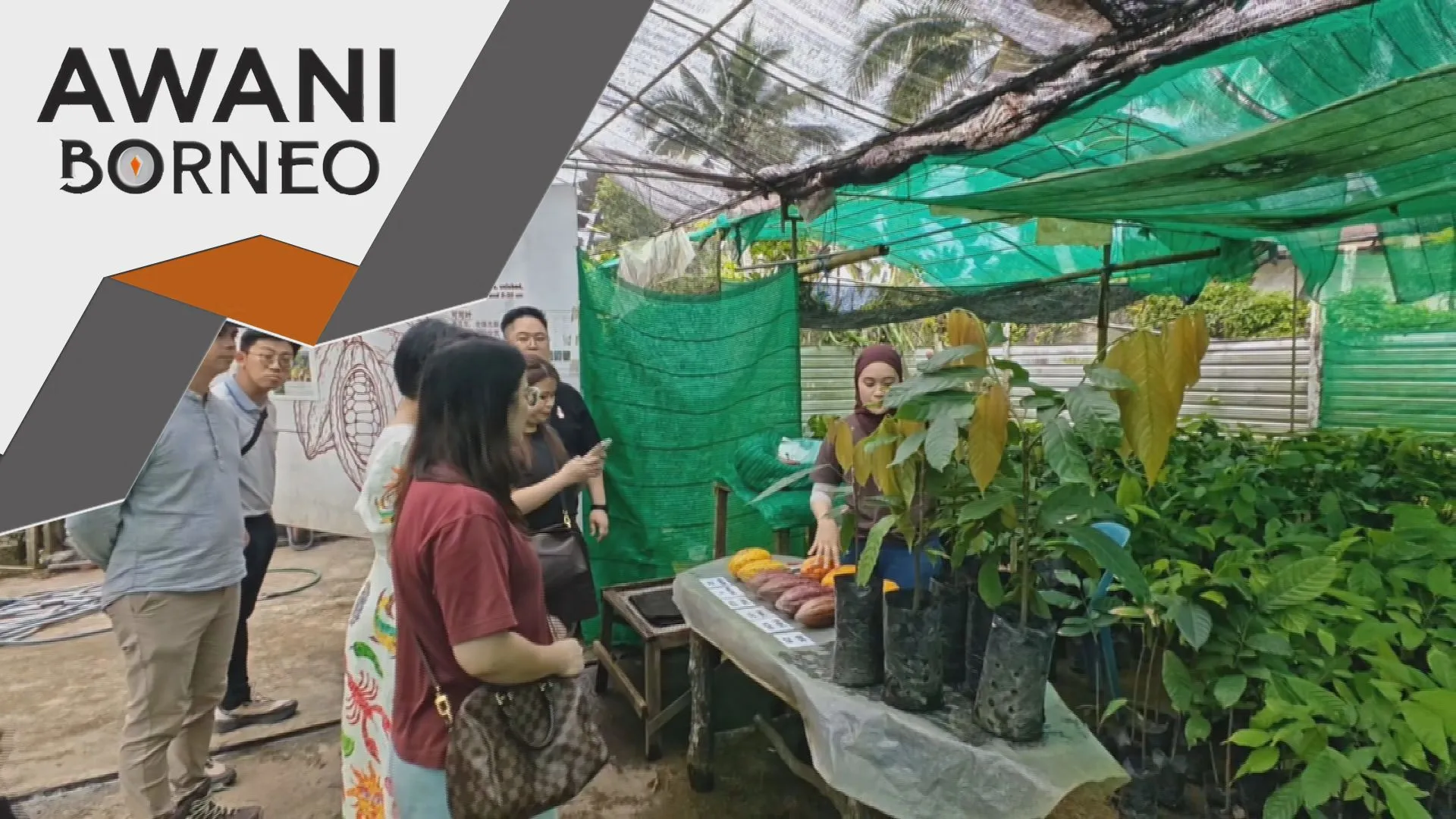 Permata tersembunyi ekopelancongan Tawau