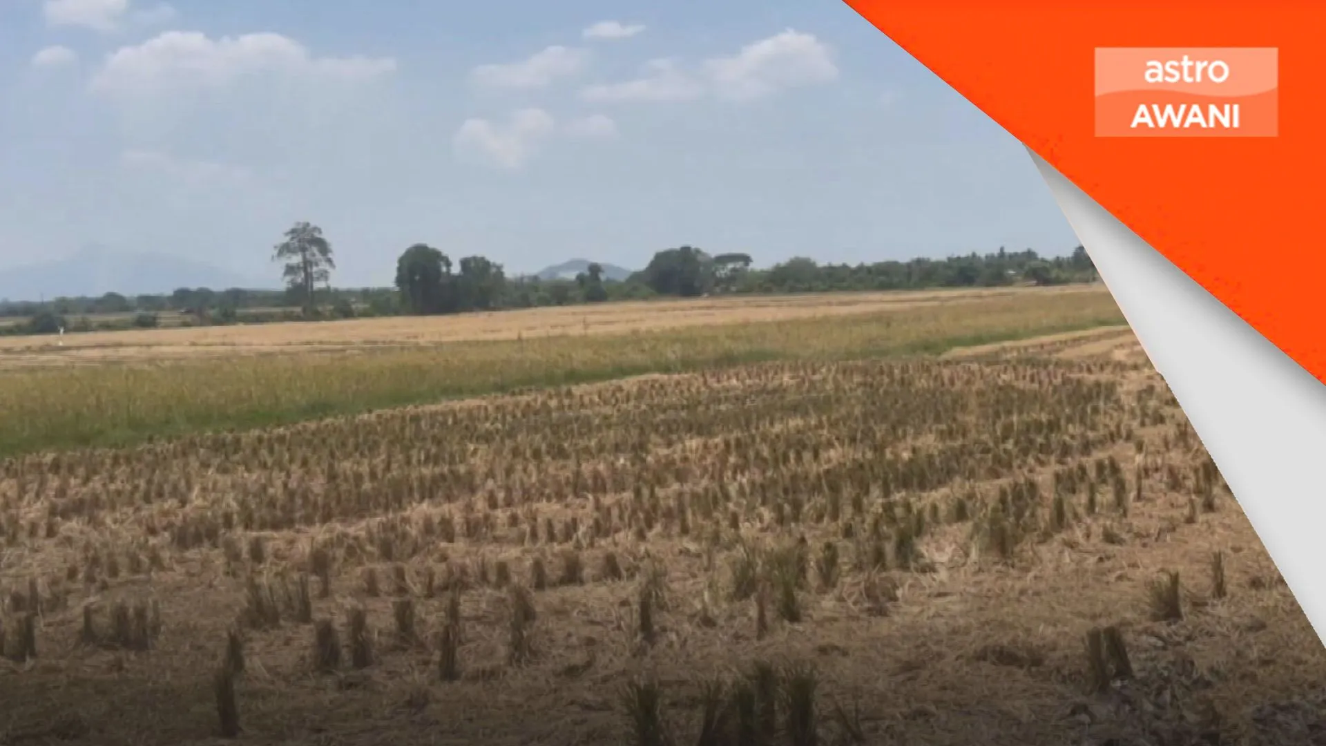 Super El Nino: Kerajaan siap sedia hadapi cuaca panas yang dijangka cecah 40 darjah Celsius – Mohamad