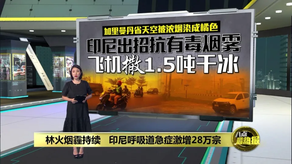 加里曼丹省林火烟霾持续   印尼出动飞机撒1.5吨干冰