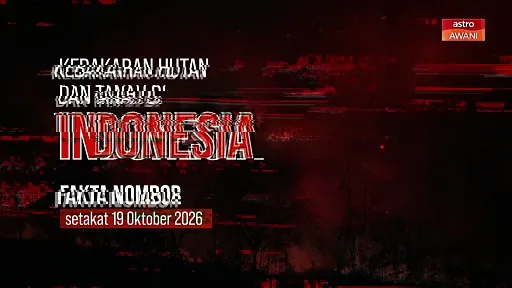 [INFOGRAFIK] Kebakaran hutan dan tanah di Indonesia