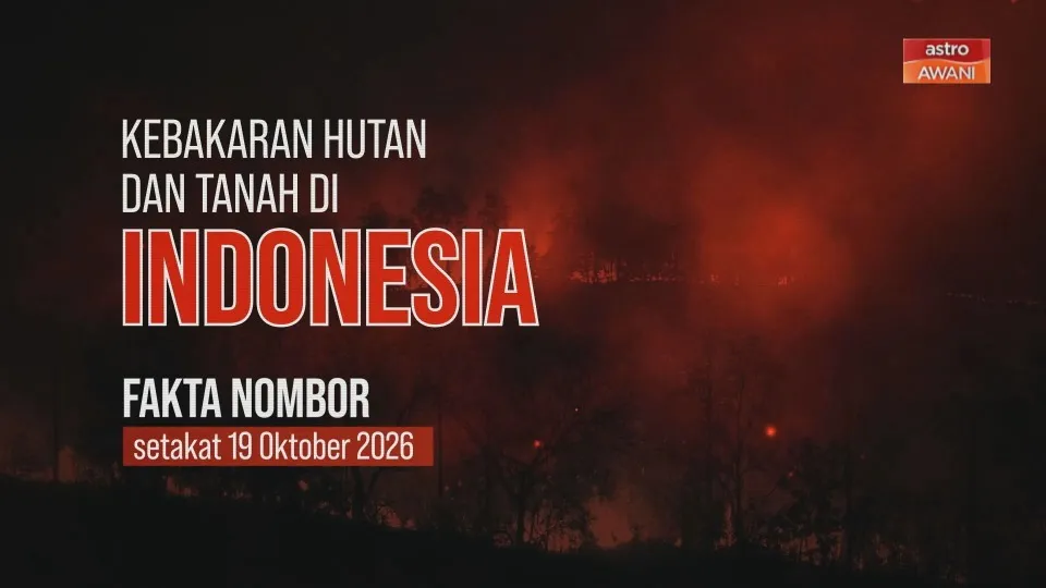 [INFOGRAFIK] Kebakaran hutan dan tanah di Indonesia