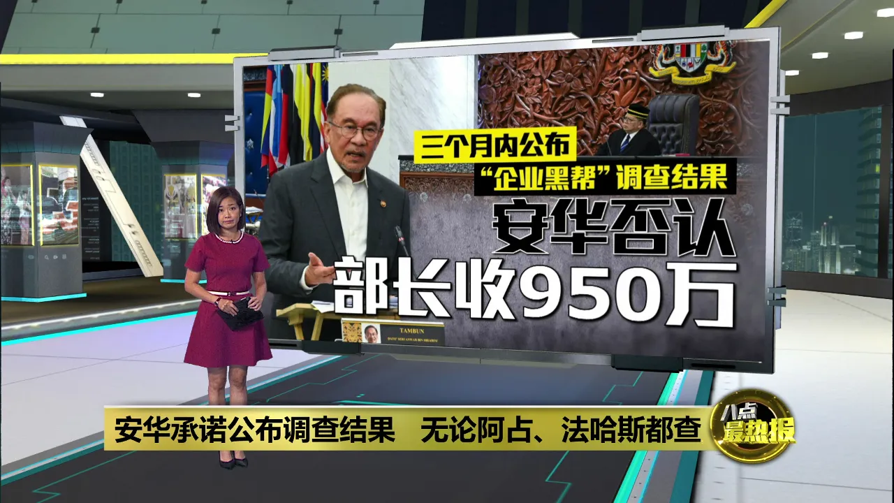 驳斥纵容"企业黑帮"   安华: 3月内公布调查结果