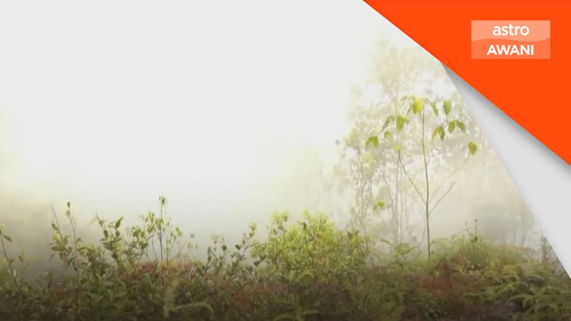Kerosakan gambut punca kebakaran hutan berulang