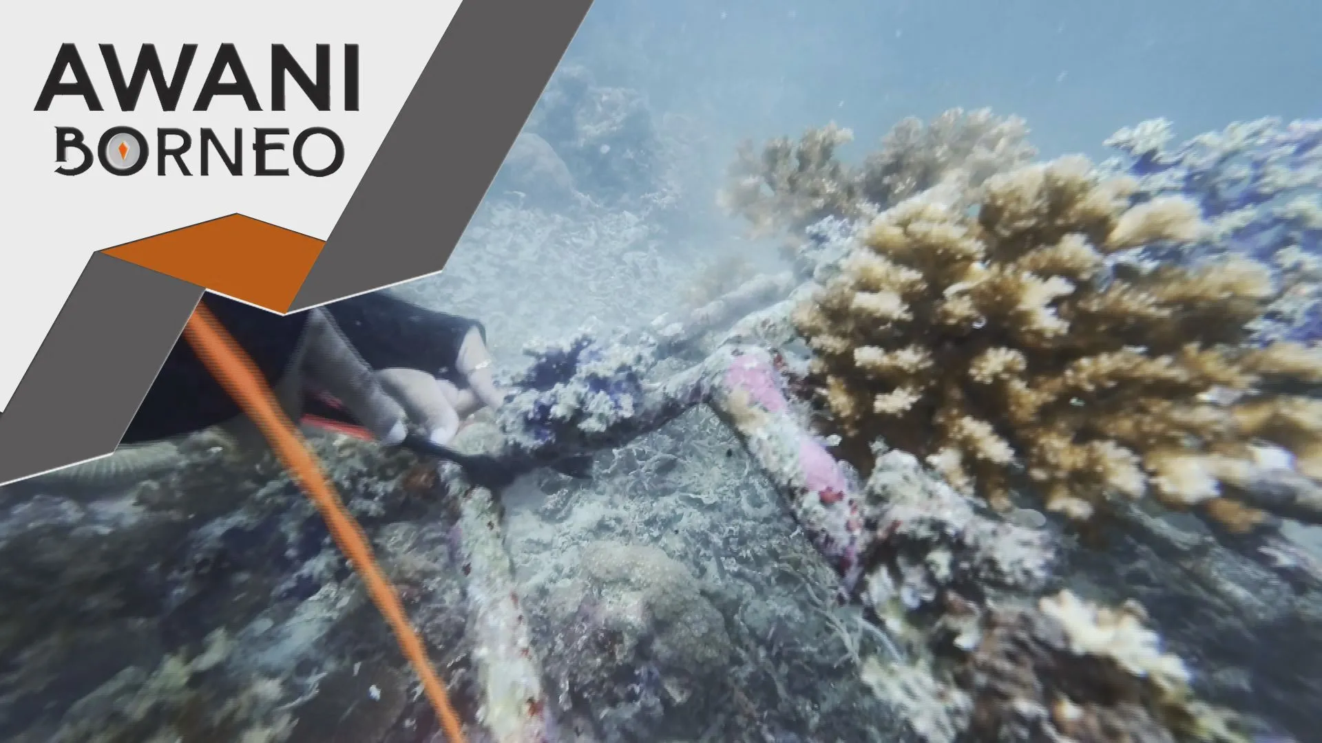 Usaha berterusan selamatkan khazanah Laut Larapan
