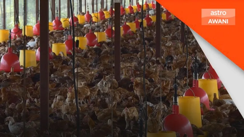 Lantikan DBKL, kos ternakan dan kerjasama IAEA jadi tumpuan