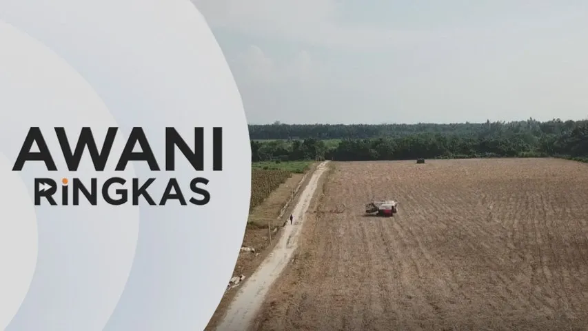 AWANI Ringkas: Lantikan DBKL, kos harga makanan ternakan jadi tumpuan