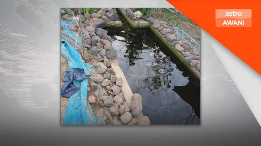 Kanak-kanak empat tahun lemas dalam kolam ikan