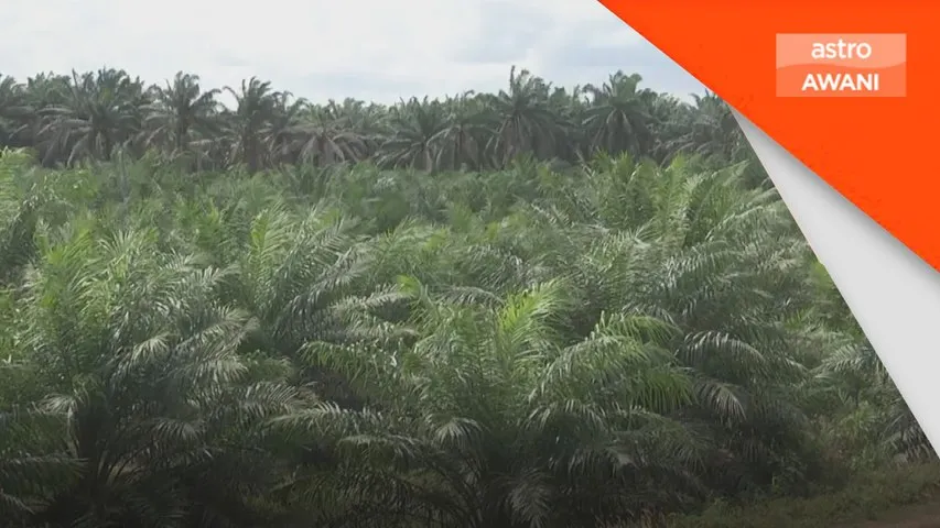 MITI akan menjelaskan dakwaan lebihan kapasiti buruh