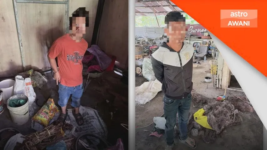 Polis tumpas kegiatan curi kabel bawah tanah di Miri