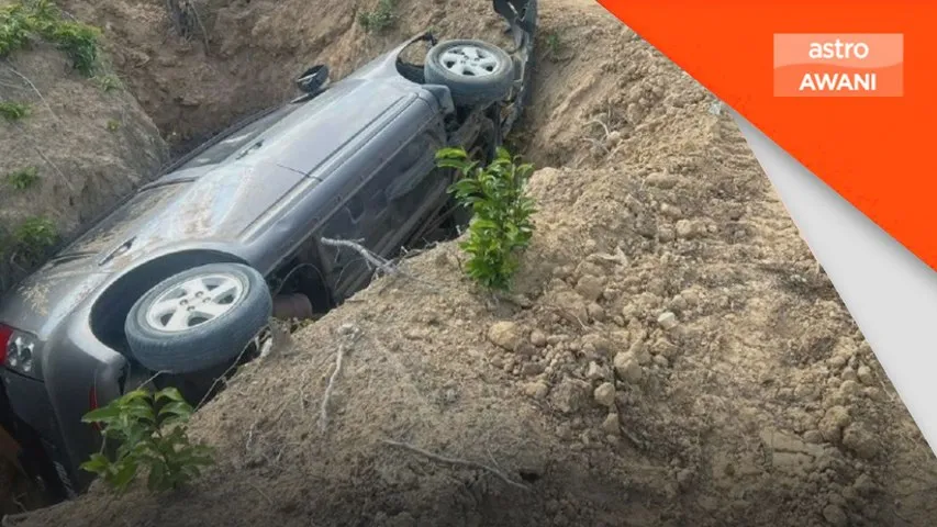 Seorang maut, 5 cedera kereta elak anjing