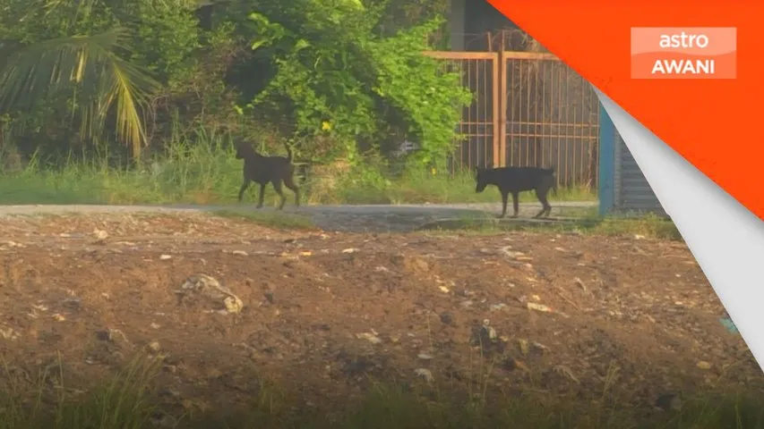 Kanak-kanak lelaki 10 tahun korban terbaharu di Sarawak