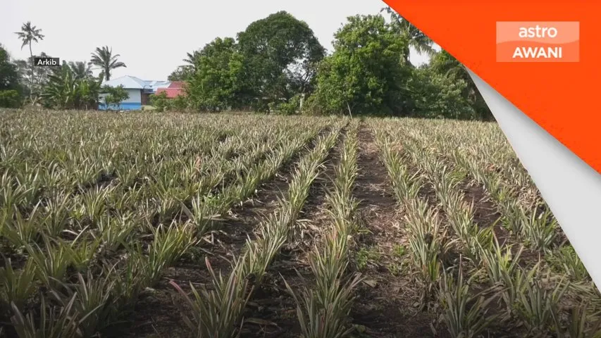 Kenaikan harga baja jadi amaran, Malaysia perlu perkuat sistem makanan