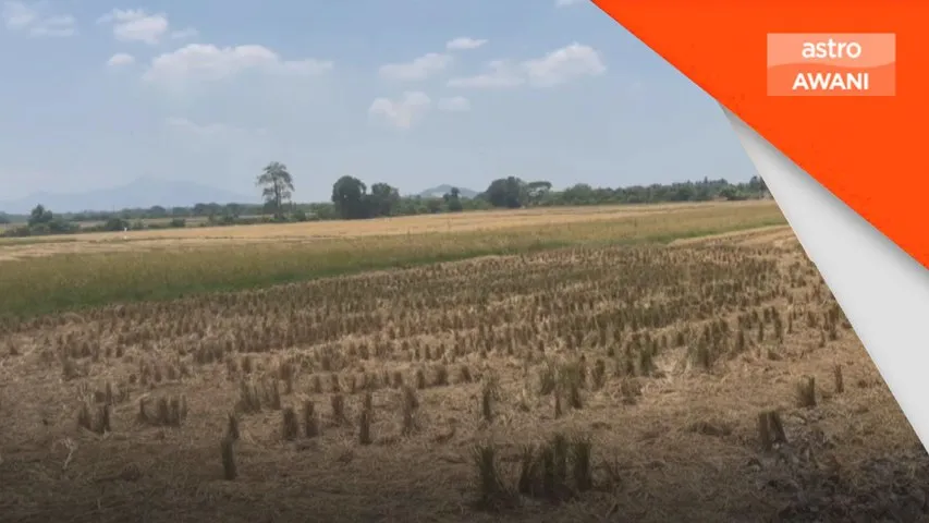 Langkah yang perlu diambil elak strok haba