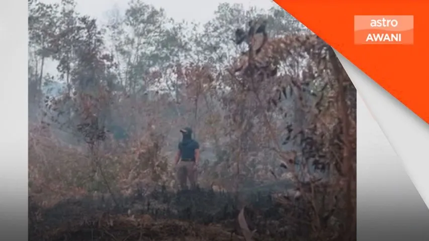 Kebakaran ladang sawit Rompin memasuki hari ketujuh