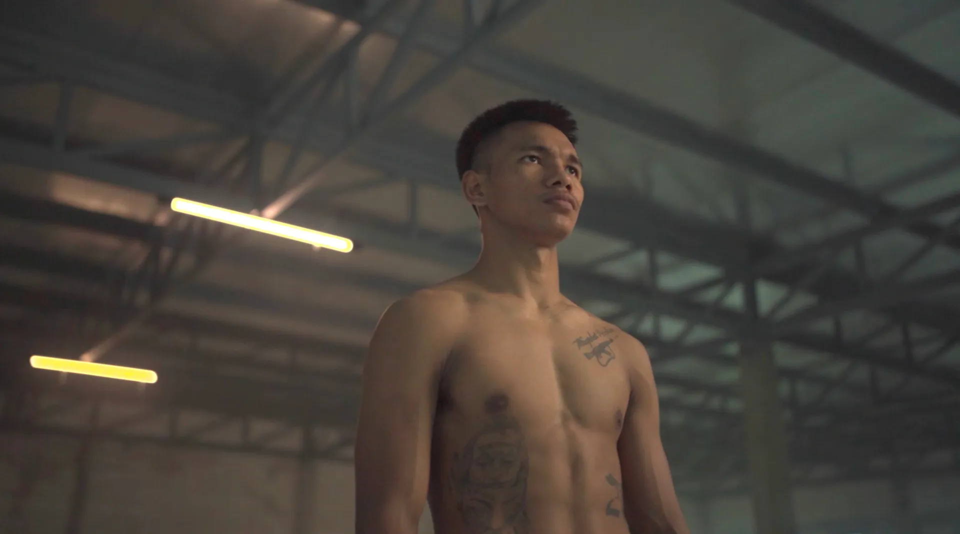 Shadow with his game face on