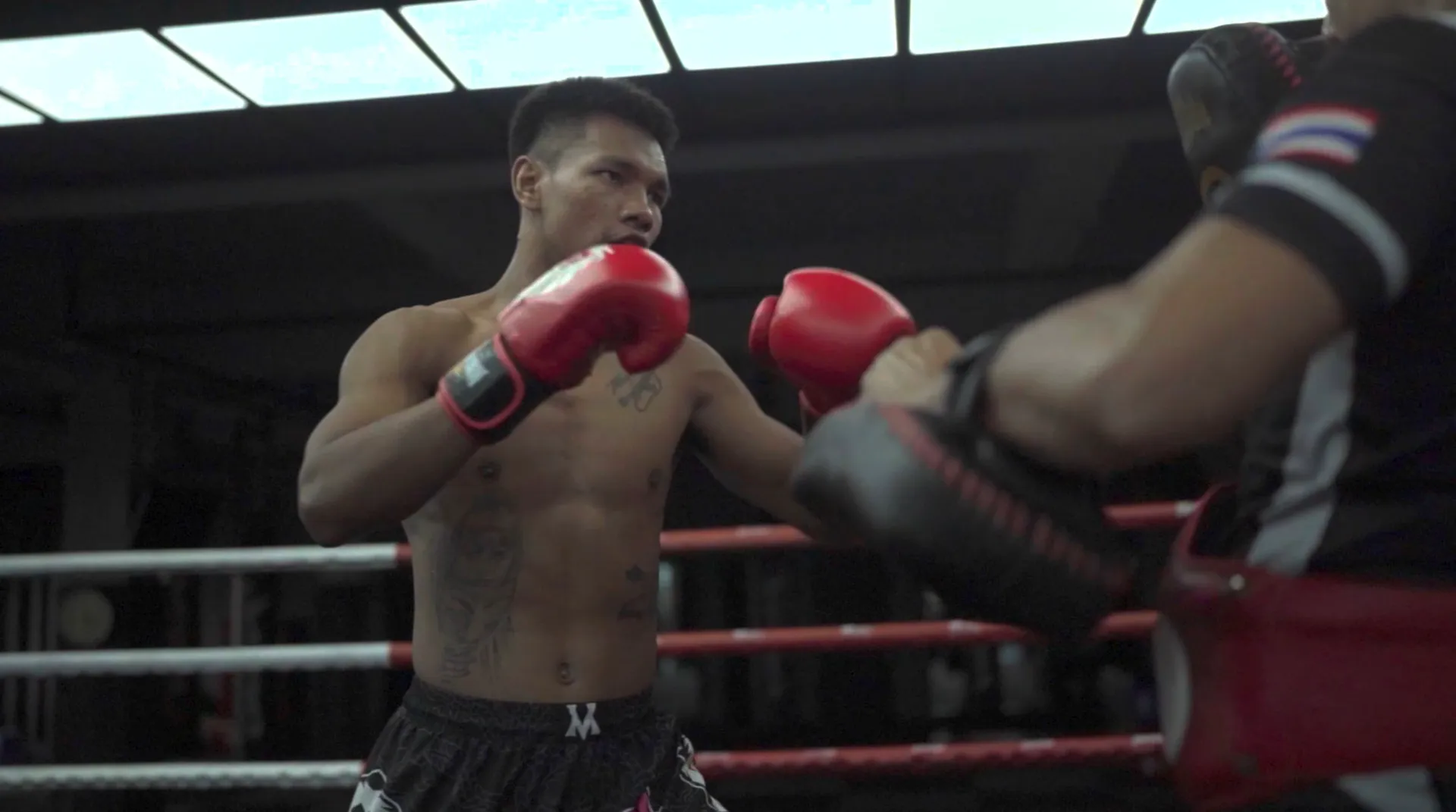 Shadow trains before his fight