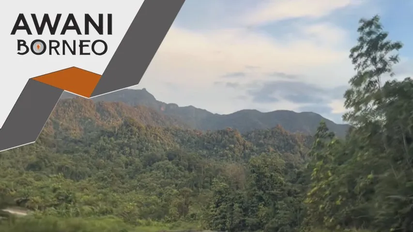 Sarawak perluas kawasan hutan terlindung sepenuhnya