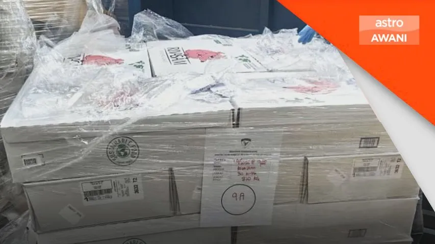 Daging ayam tanpa sijil halal, karkas babi bernilai RM1.5 juta dirampas