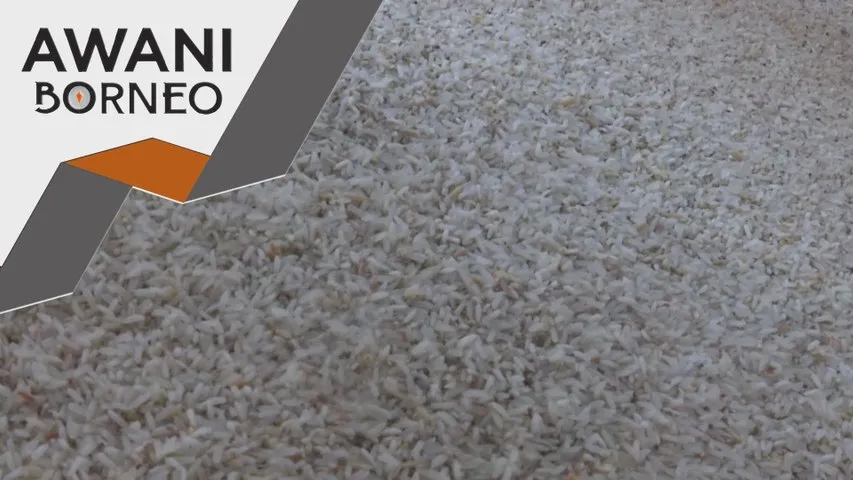 Bekalan beras di Sabah mencukupi, terkawal