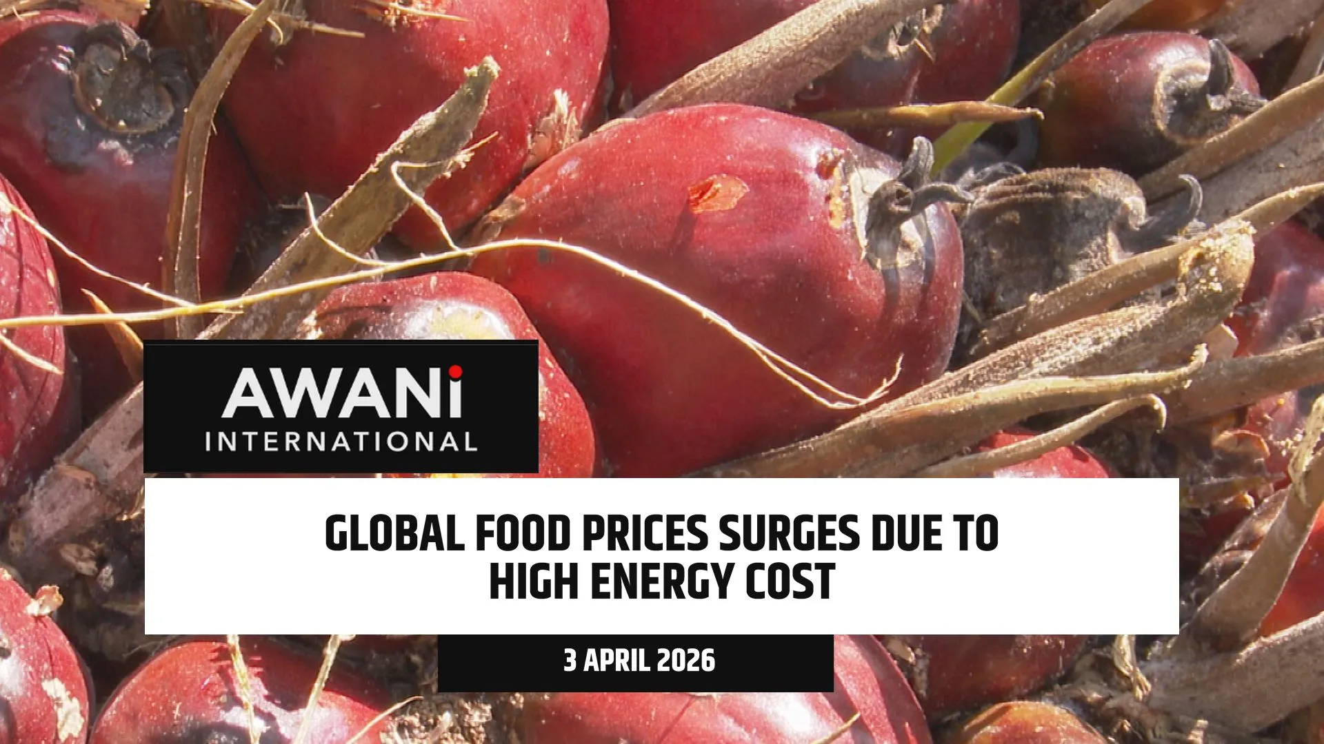 Global food prices surges due to high energy cost