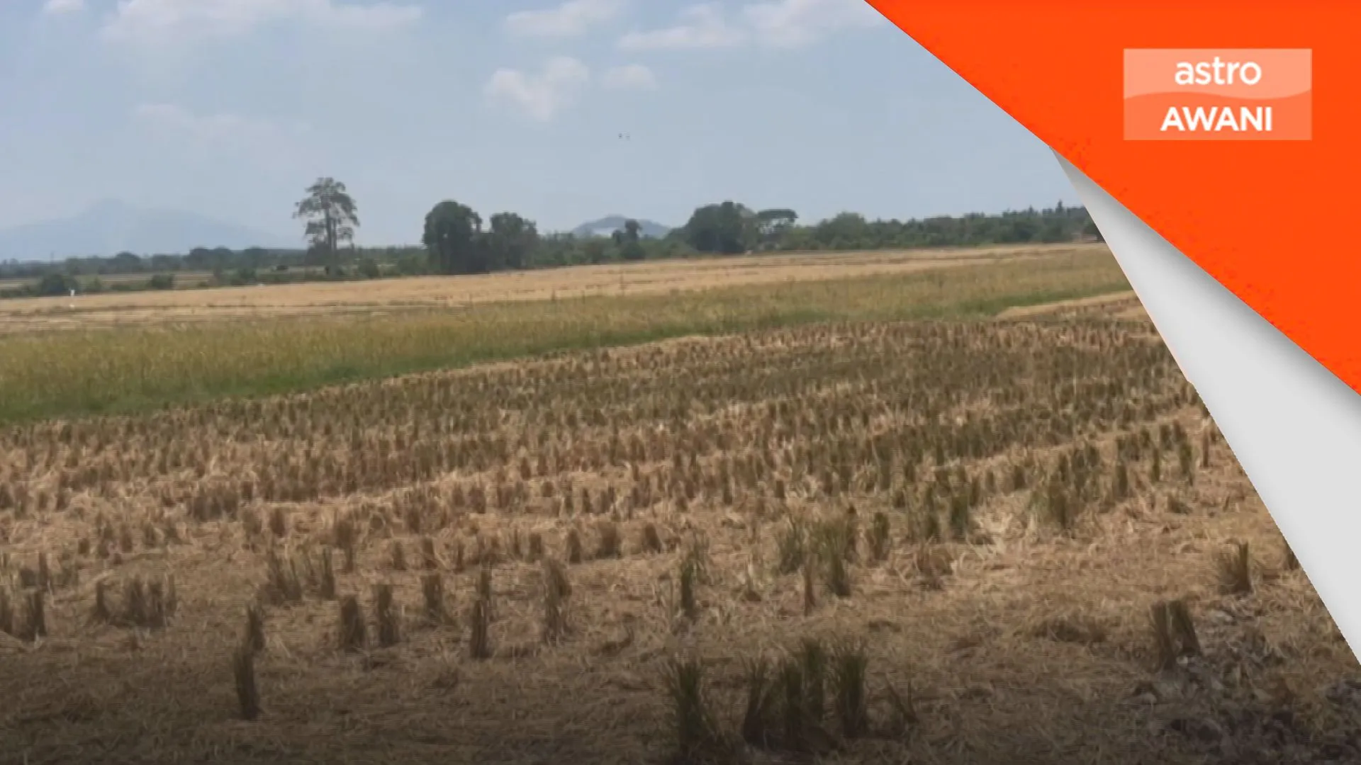 Redakan cuaca panas, hujan lebat dijangka petang hingga malam – Arthur