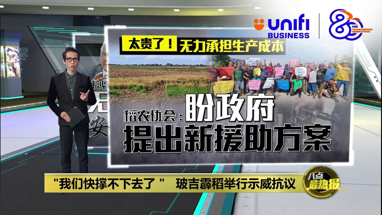 "我们快撑不下去了"   玻吉霹稻农举行示威抗议 | #UNIFIBUSINESS