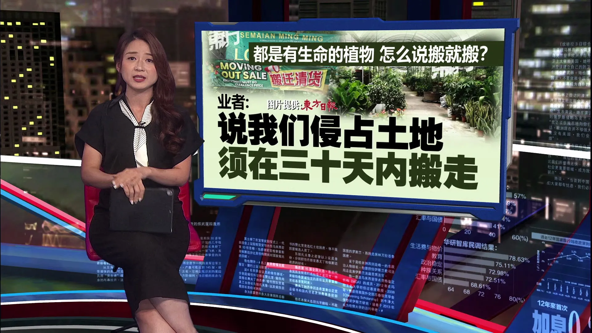 我们不是侵略者！   双溪毛糯花圃66名业者 遭下令415前搬迁