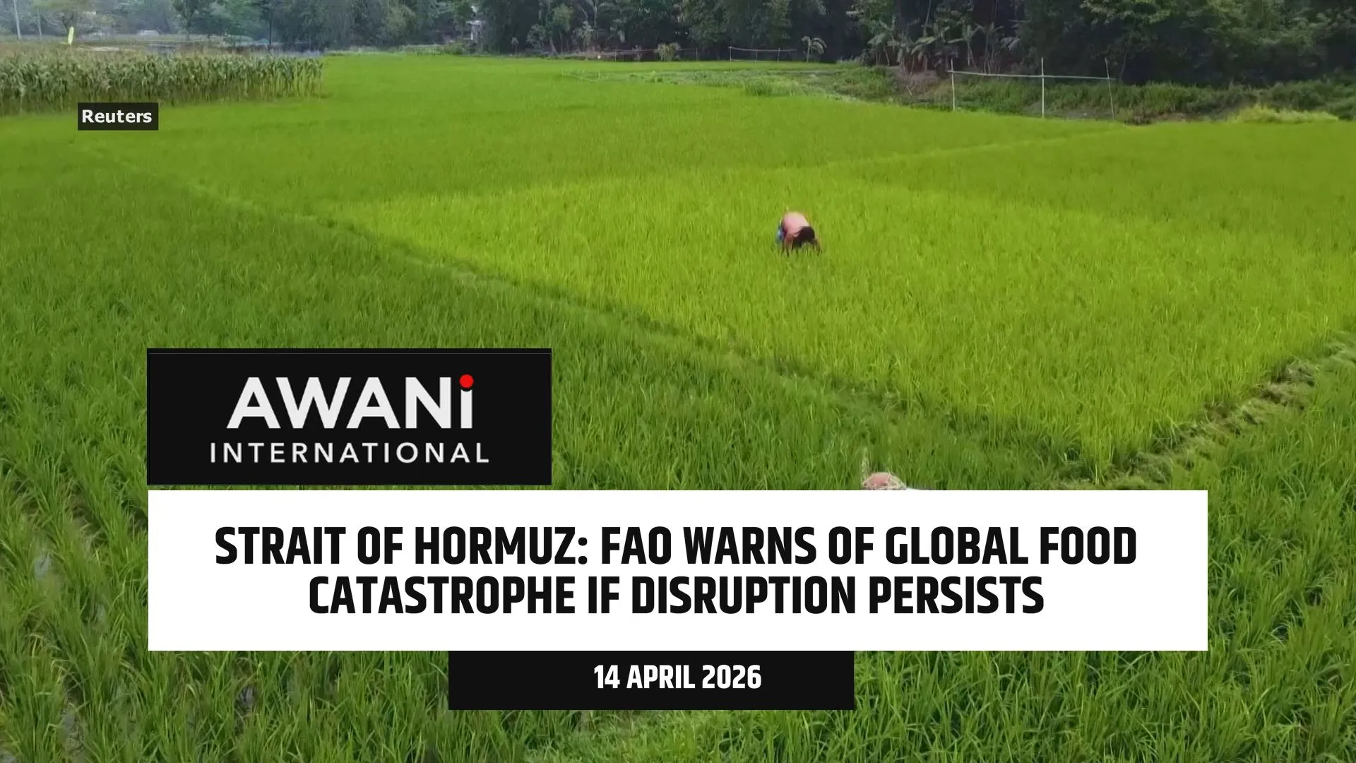 FAO warns of global food catastrophe if disruption persists