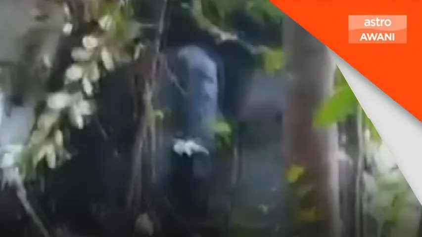 Semua jasad mangsa ditemui, punca nahas dalam siasatan