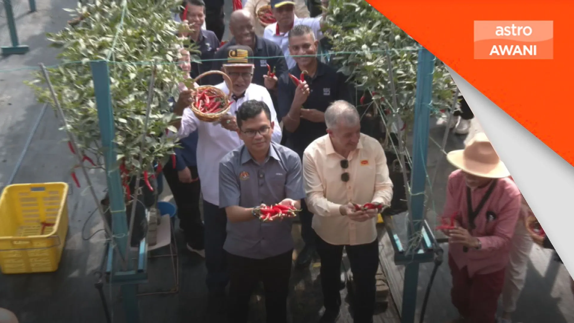 Campuran biodiesel B15 dilaksana secara berperingkat