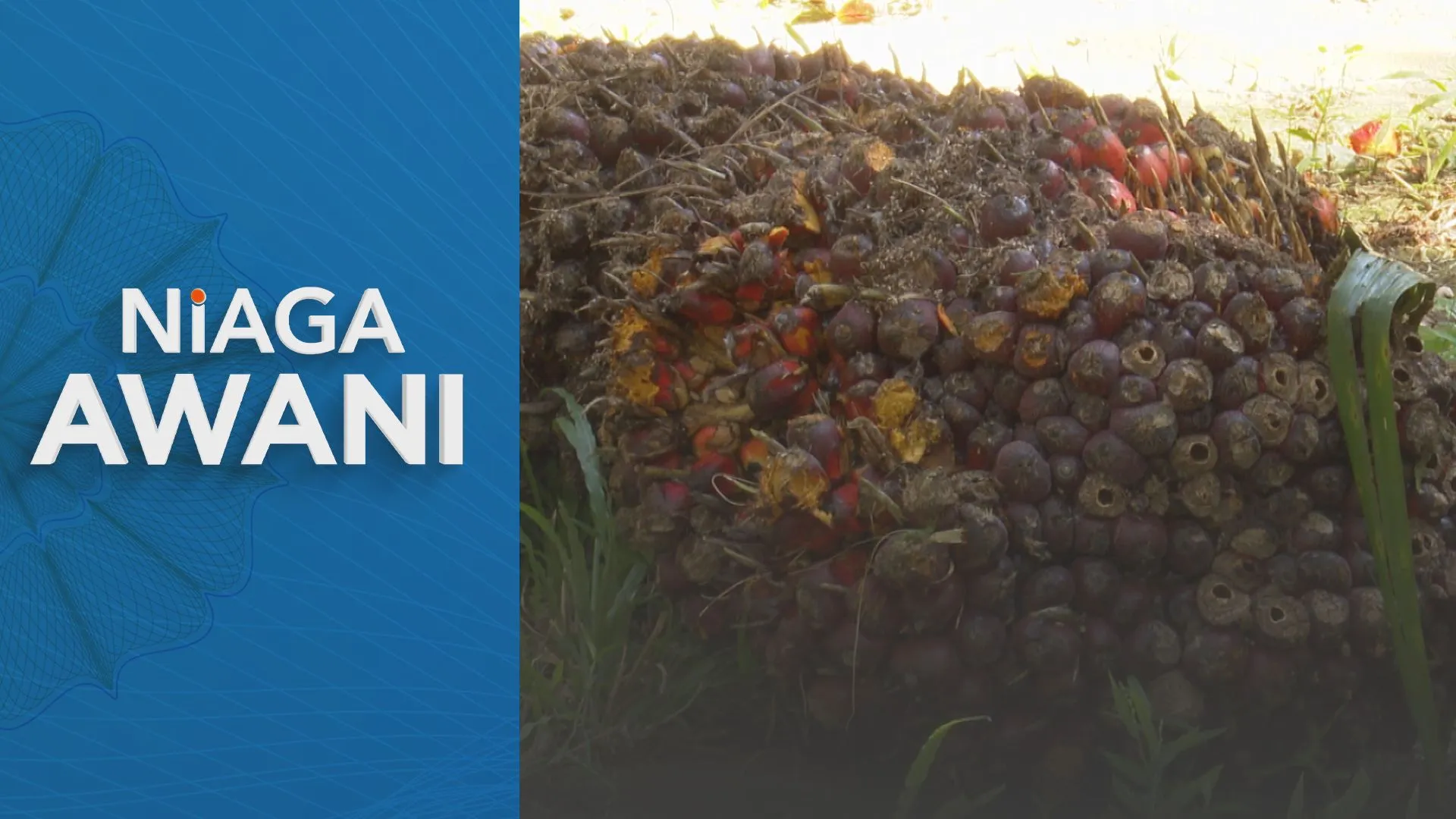 Aliran pasaran minyak sawit mentah kukuh