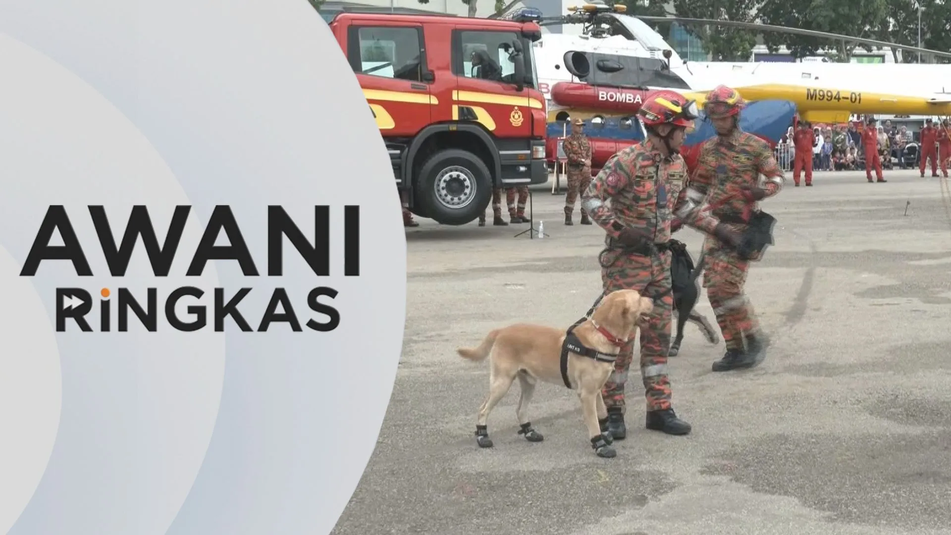 AWANI Ringkas: Bomba biak anjing K9 pertama negara