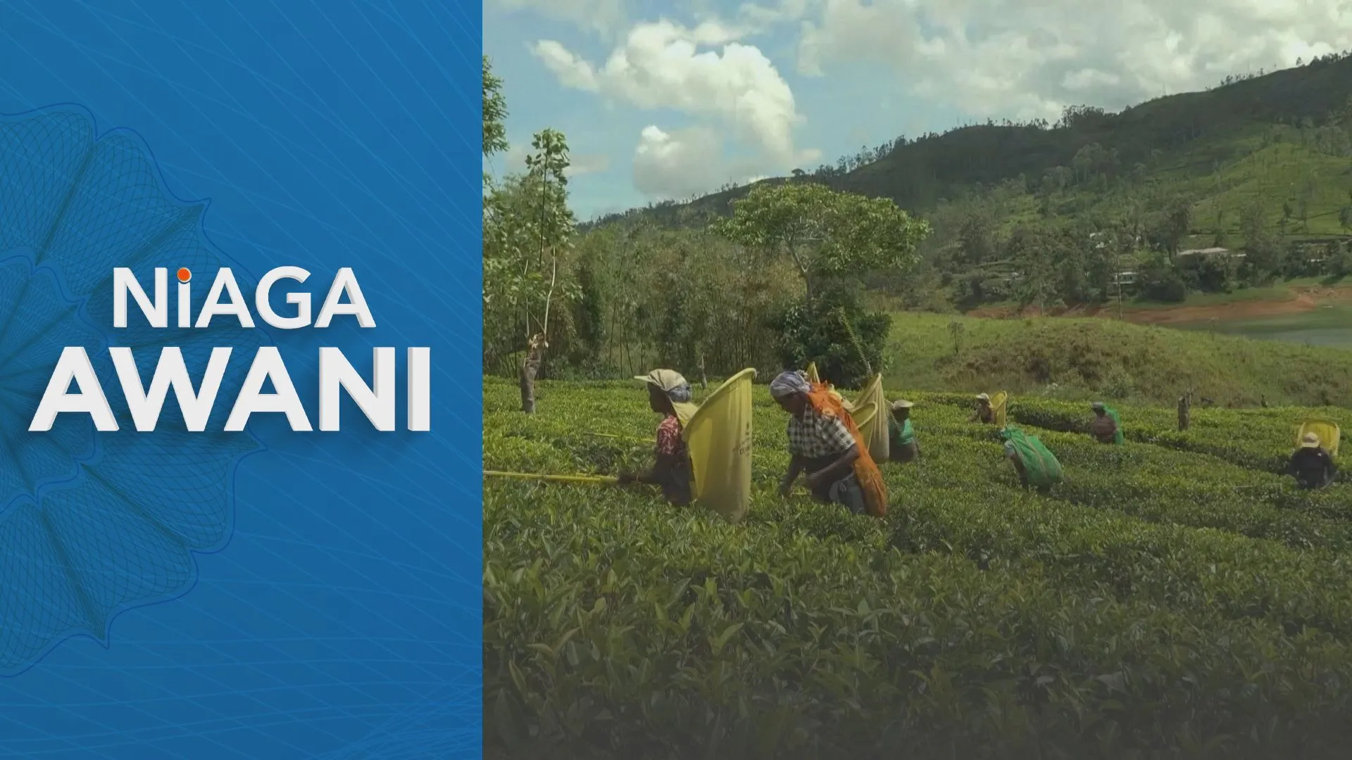 Konflik Asia Barat: Industri teh Sri Lanka merosot 17.3 peratus pada Mac