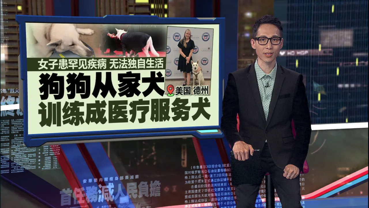 女子患罕见疾病无法独自生活   狗狗从家犬训练成医疗服务犬