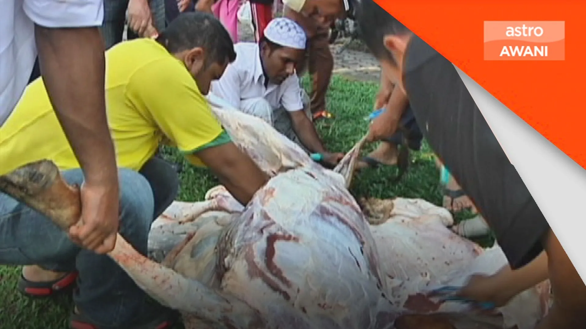 JPV Melaka keluar 887 PSL bagi penyembelihan ibadah korban - Exco
