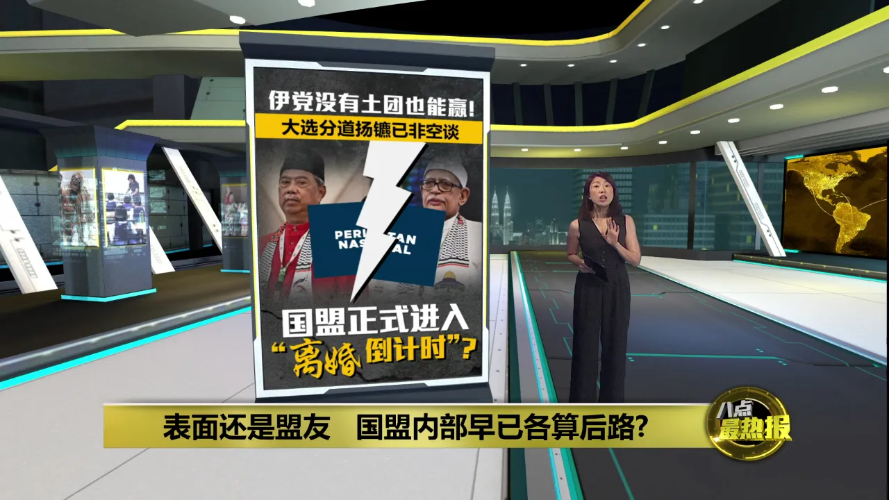 大选或选择单飞   伊党全面检视与土团关系