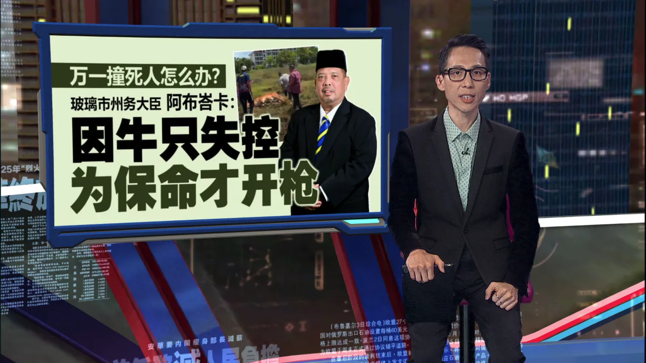 调查枪支是否有合法牌照   玻璃市大臣开枪惊动警方