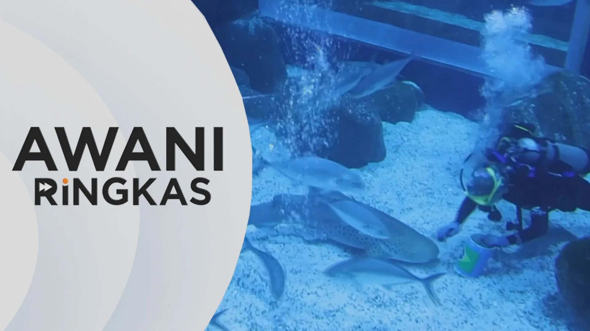 AWANI Ringkas: Jerung ramal Piala Dunia