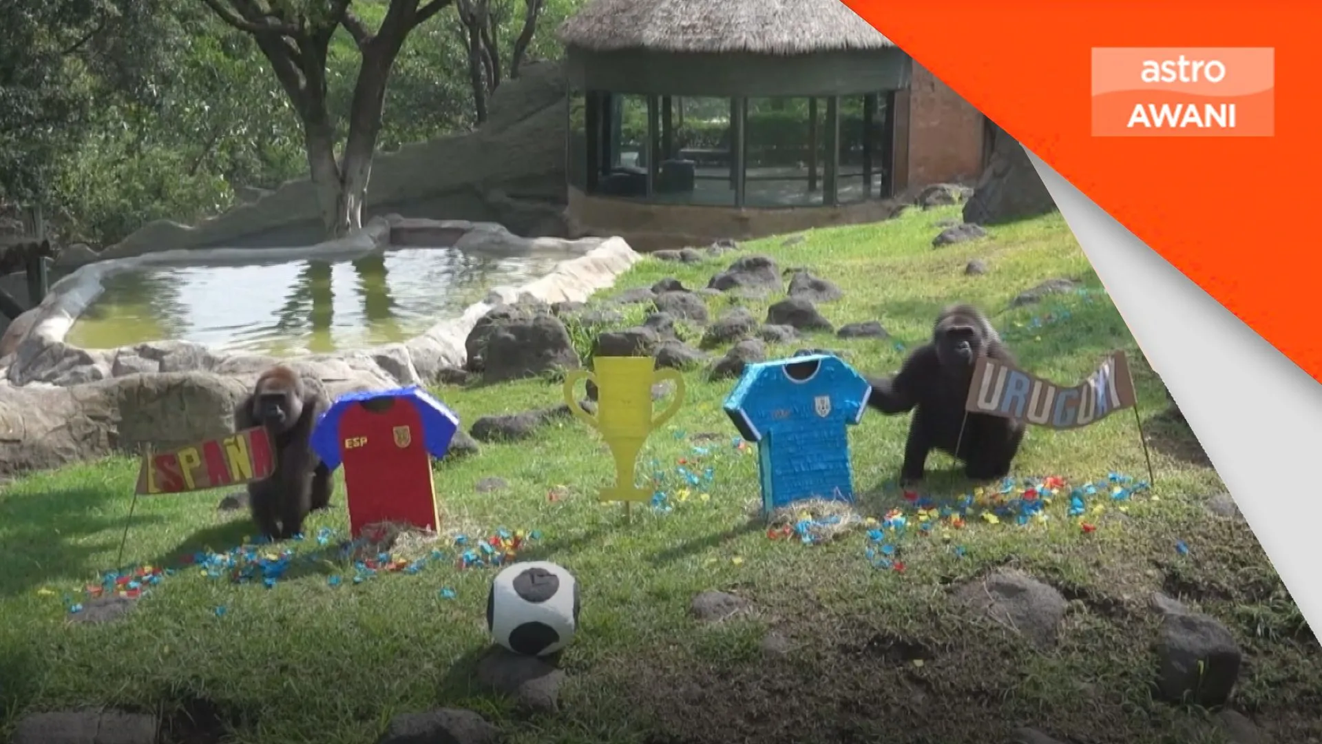 Piala Dunia 2026: Haiwan di Zoo Guadalajara buat ramalan keputusan perlawanan