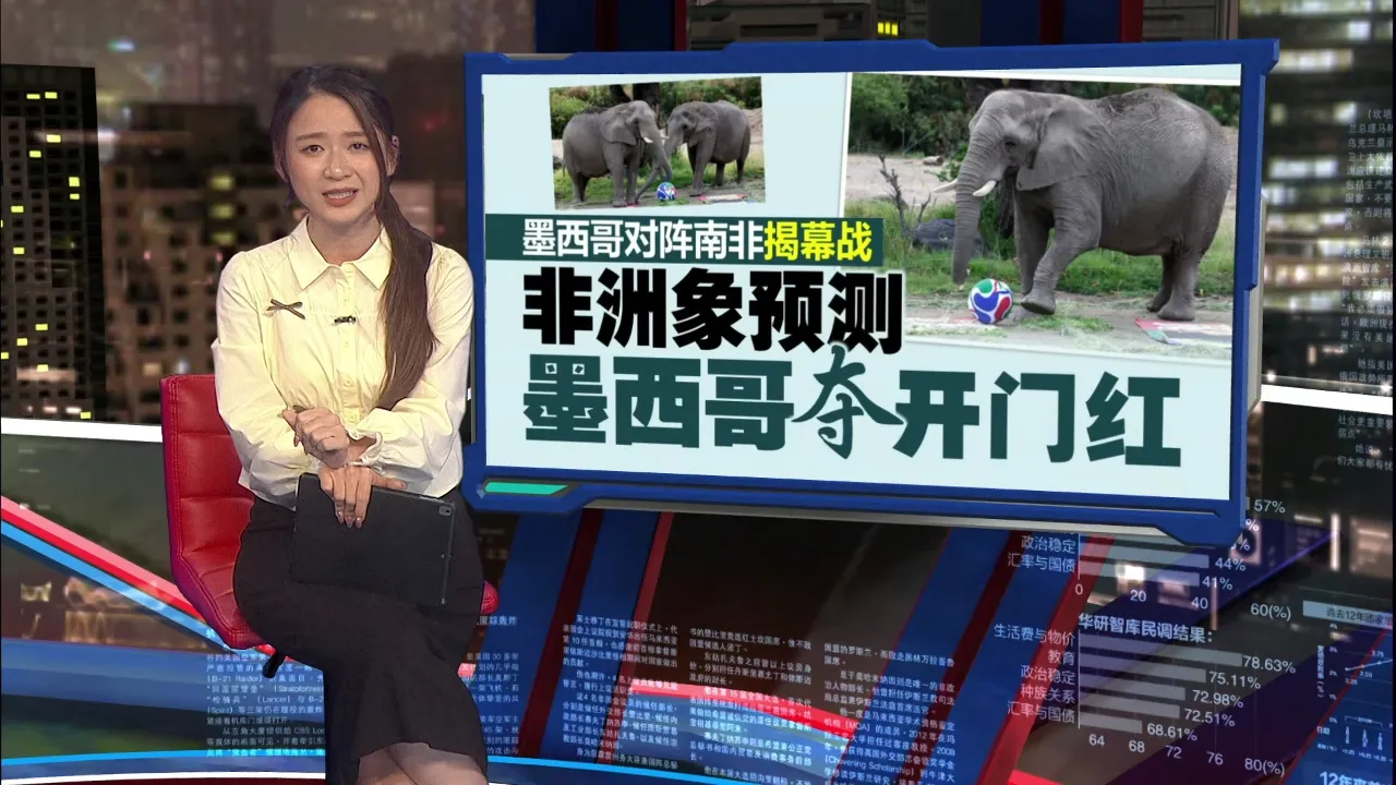 美加墨世界杯开踢在即   动物抢当“预言家”