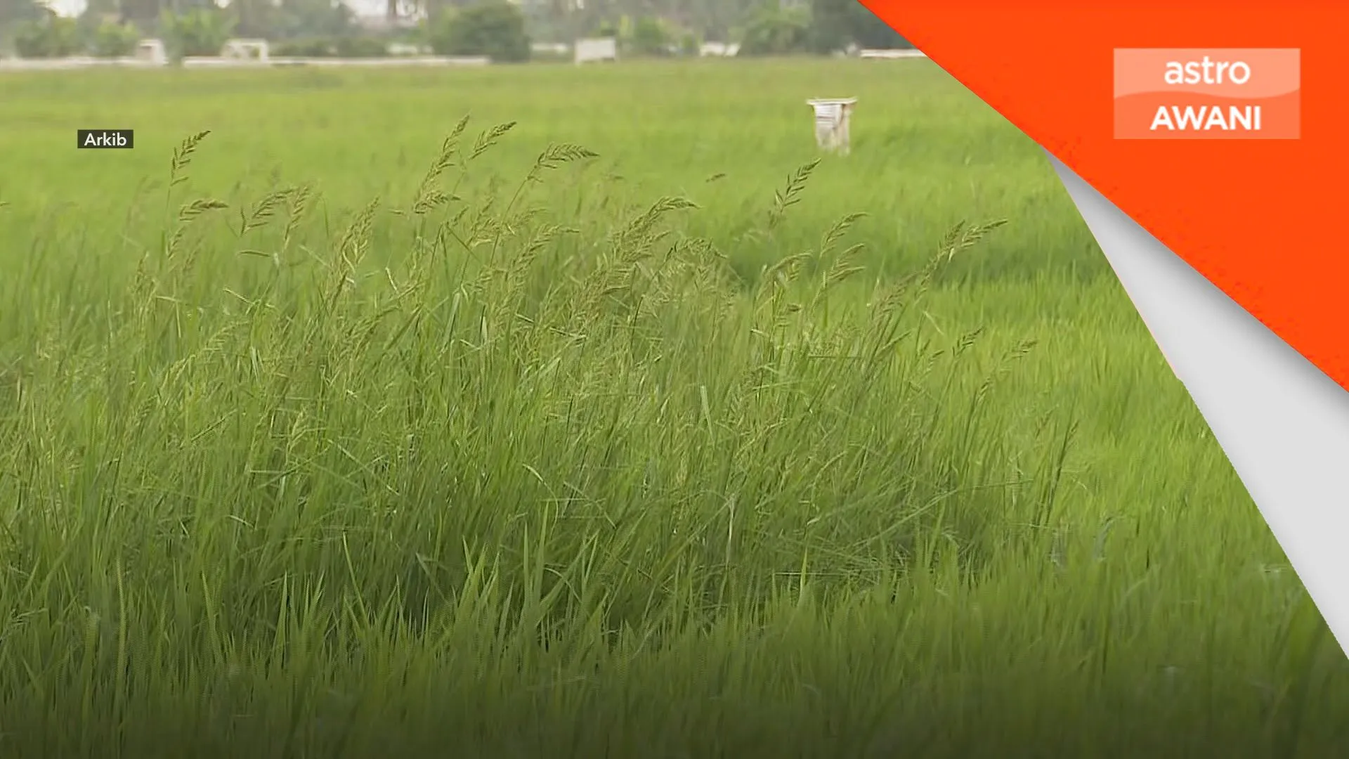 7,387 pesawah Selangor terima bantuan RM500