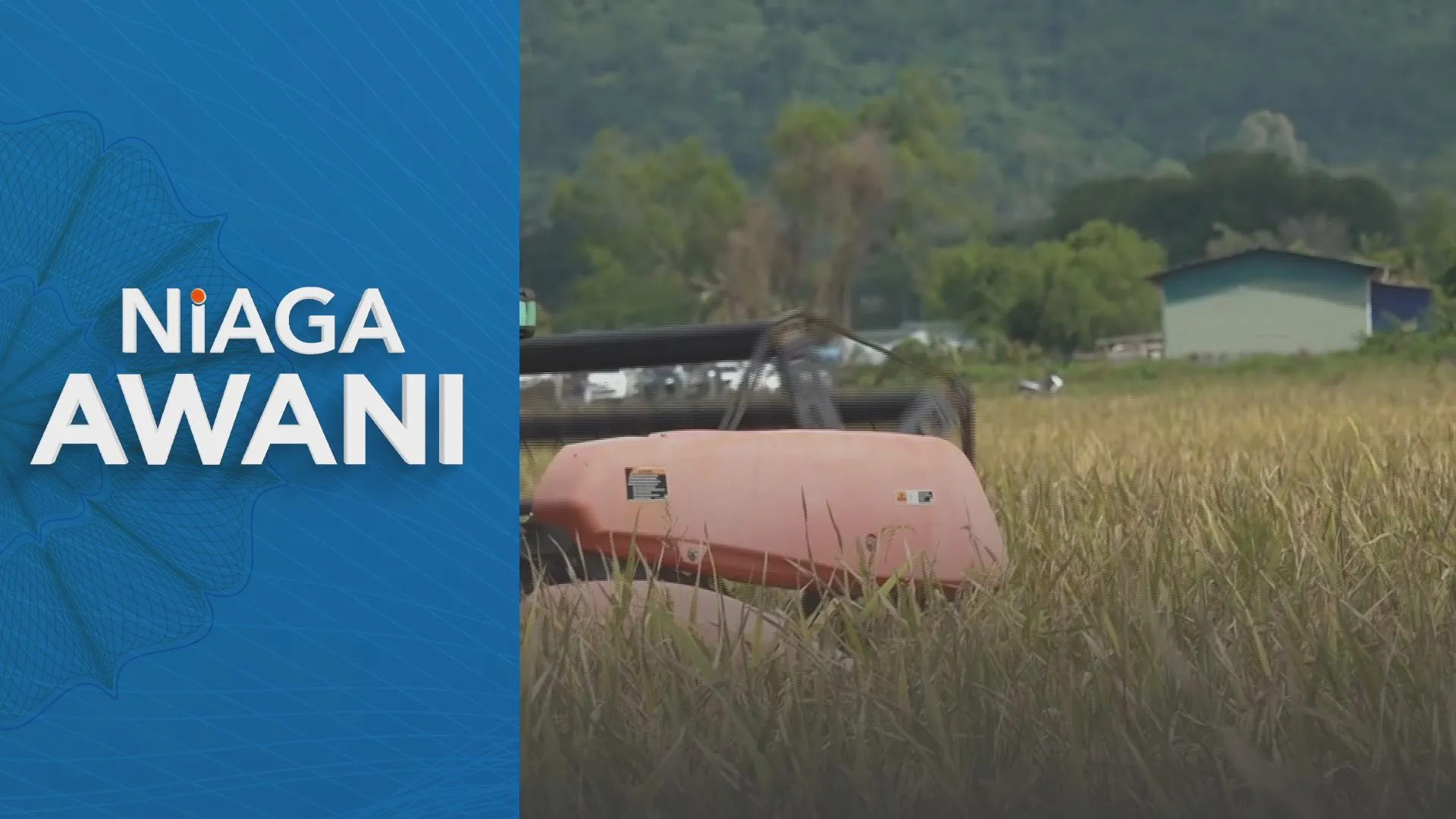 Projek rintis teknologi penanaman padi tanpa semaian semula